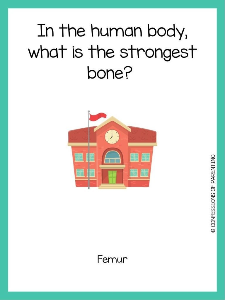 100 Great 5th Grade Trivia Questions With Answers