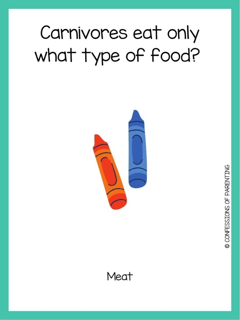 100 Great 5th Grade Trivia Questions With Answers