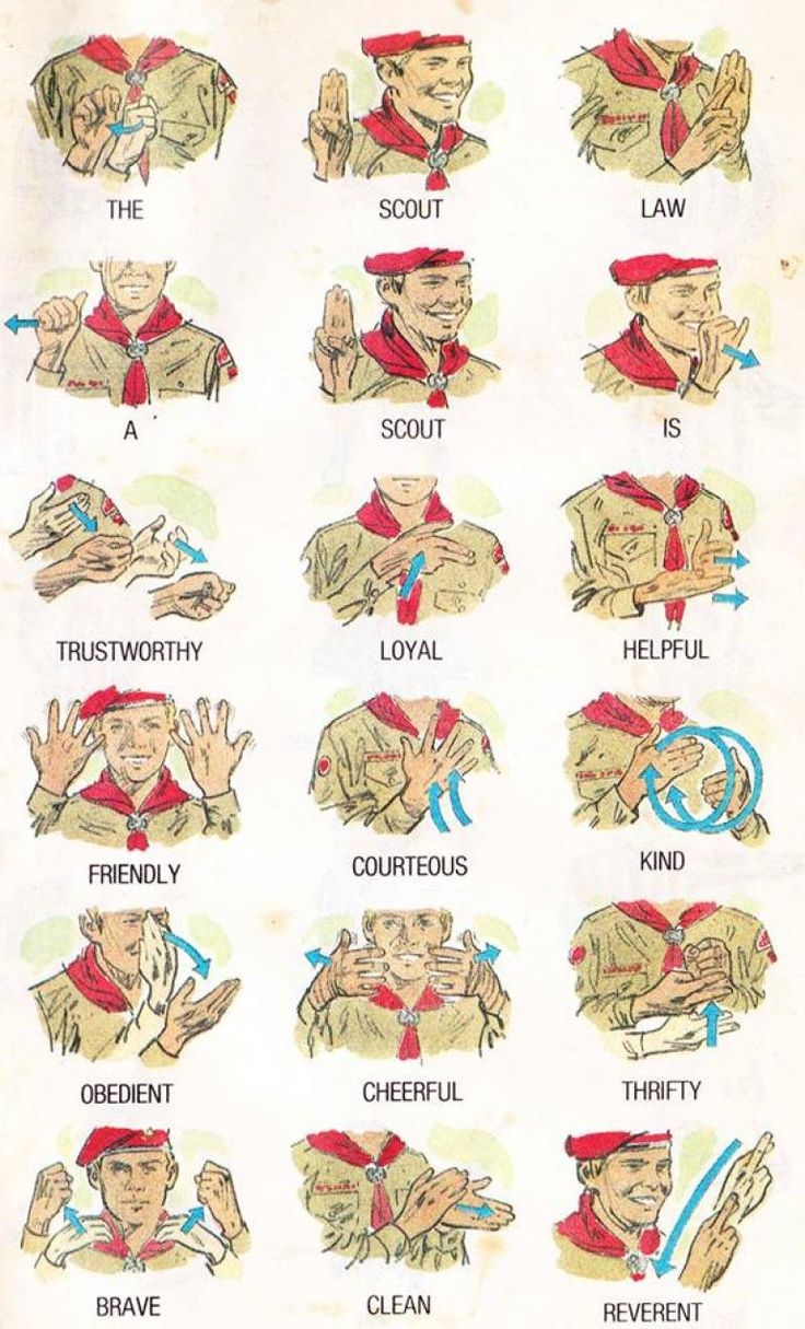 12 Curiosity Intrigue And Magical Mysteries Tiger Adventure Cub Scouts Ideas Cub Scouts Easy Magic Tricks Easy Magic