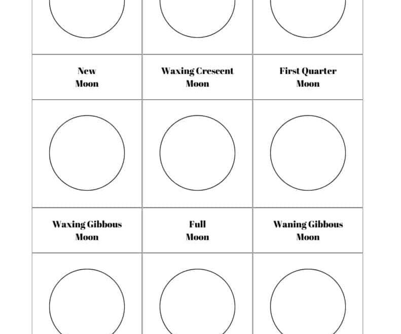 13 Free Printable Moon Phases Worksheets The 8 Phases Of The Moon