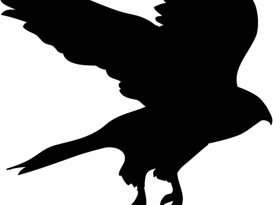 Bird Silhouettes