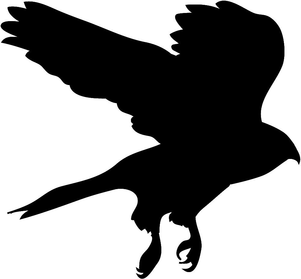 Bird Silhouettes