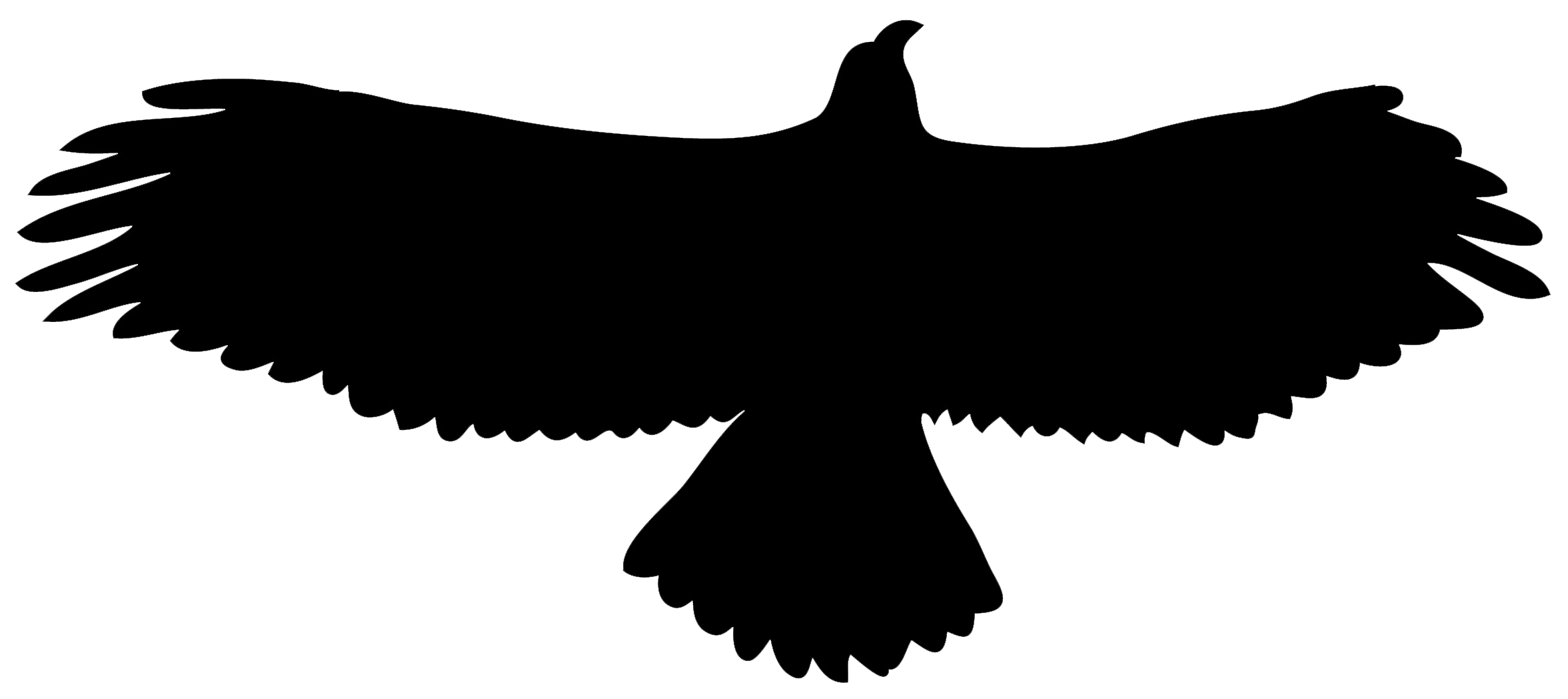 Bird Silhouettes