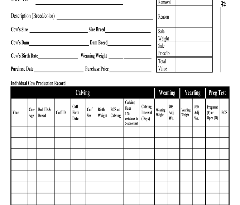 Cattle Record Keeping Spreadsheet Fill Online Printable Fillable Blank PdfFiller