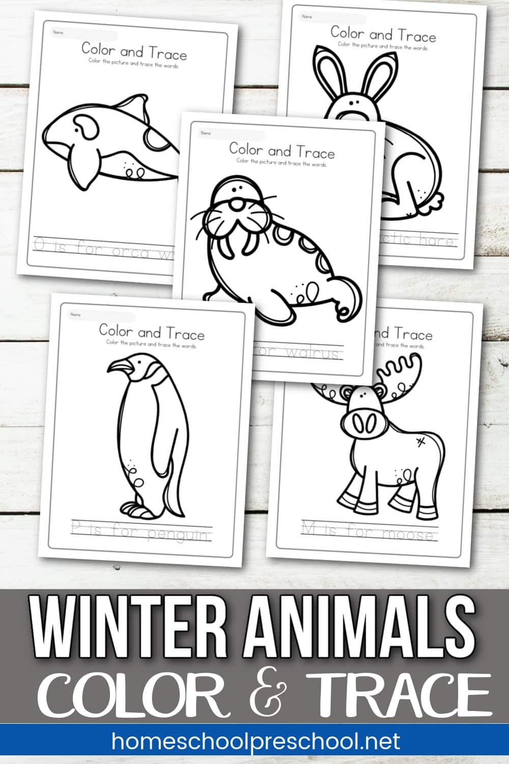 Color And Trace Winter Animals Worksheets