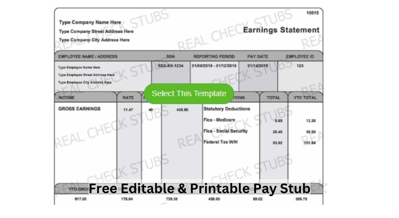 Free Printable Pay Stubs Online