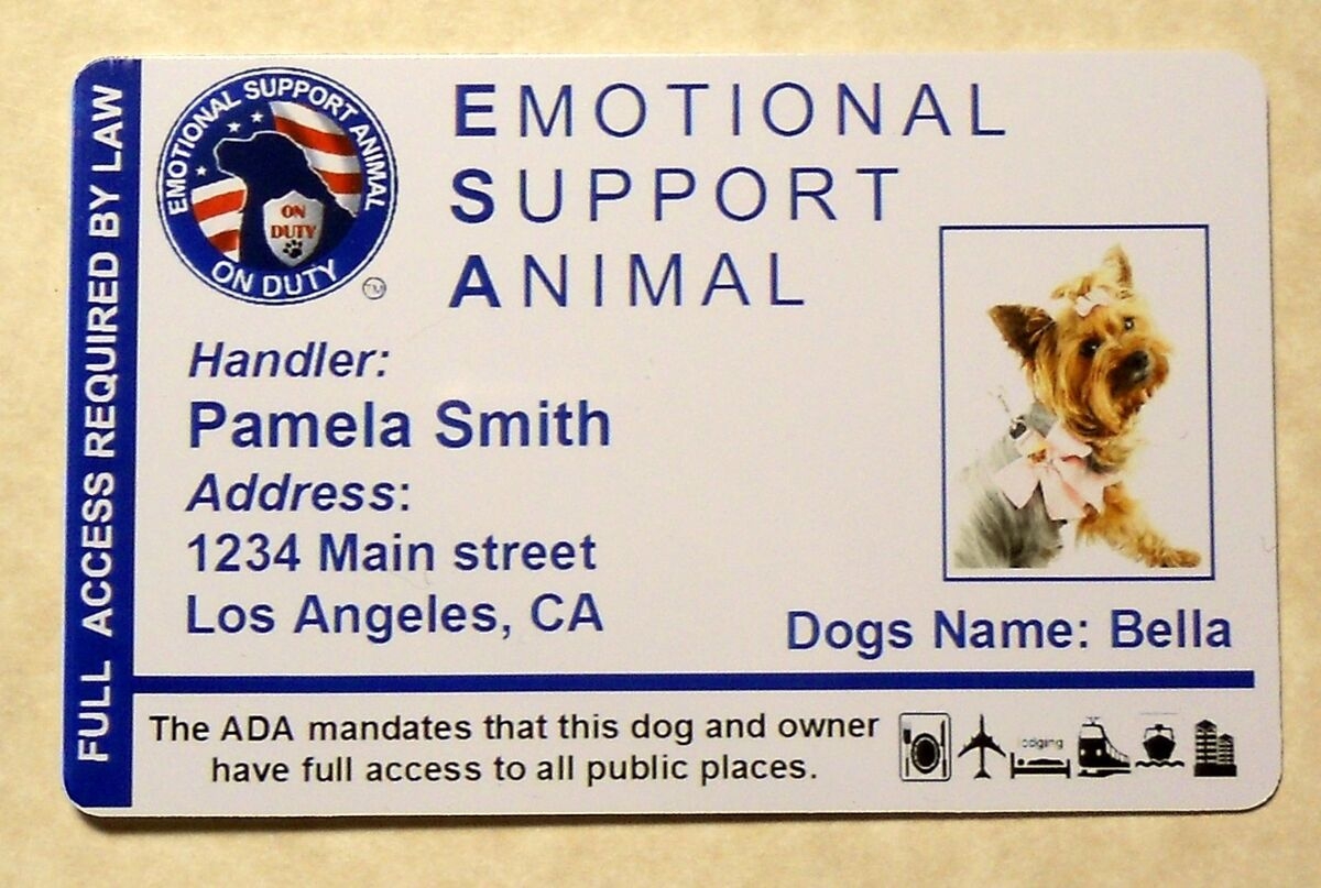 Printable Ada Service Dog Card