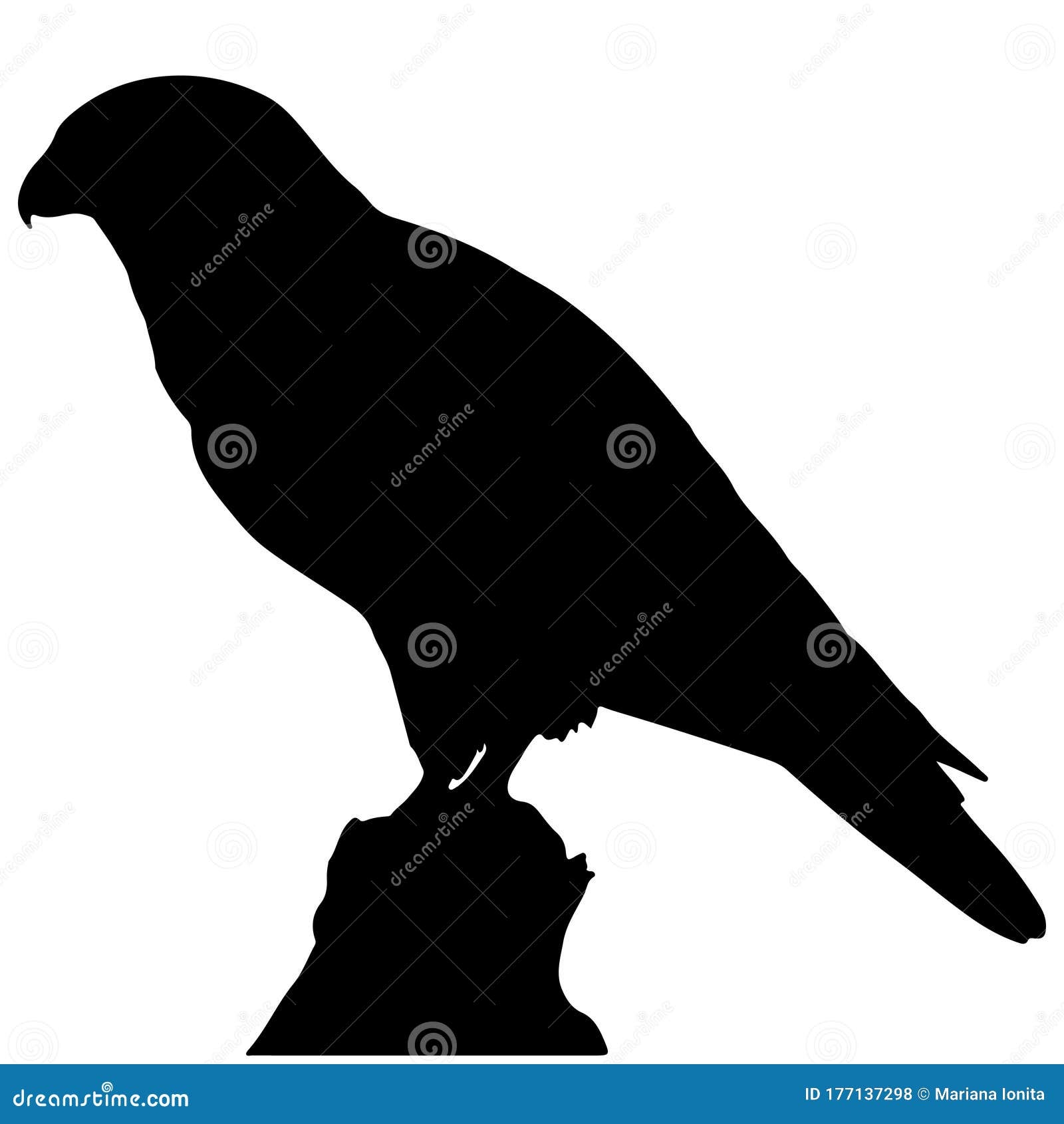 Printable Hawk Silhouette For Window