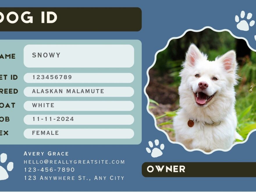 Free Custom Printable Dog ID Card Templates Canva