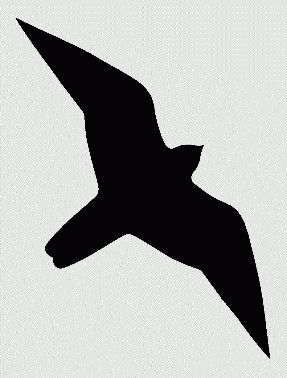 Free Printable Bird Decal To Deter Birds From Flying Into Your Window Mange Merde