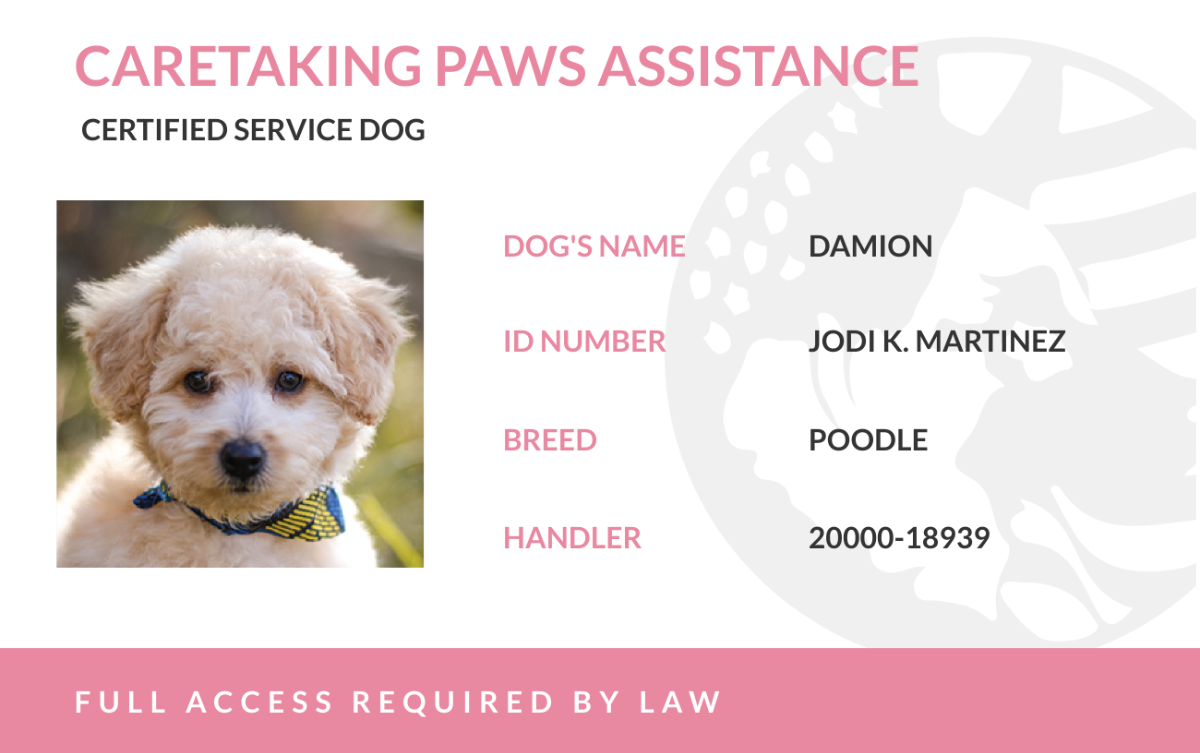 Free Printable Service Dog Certificate