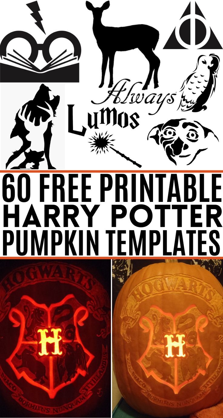 Harry Potter Pumpkin Stencils