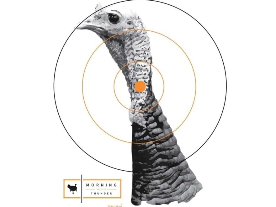 How To Pattern A Turkey Gun Free Printable Turkey Target