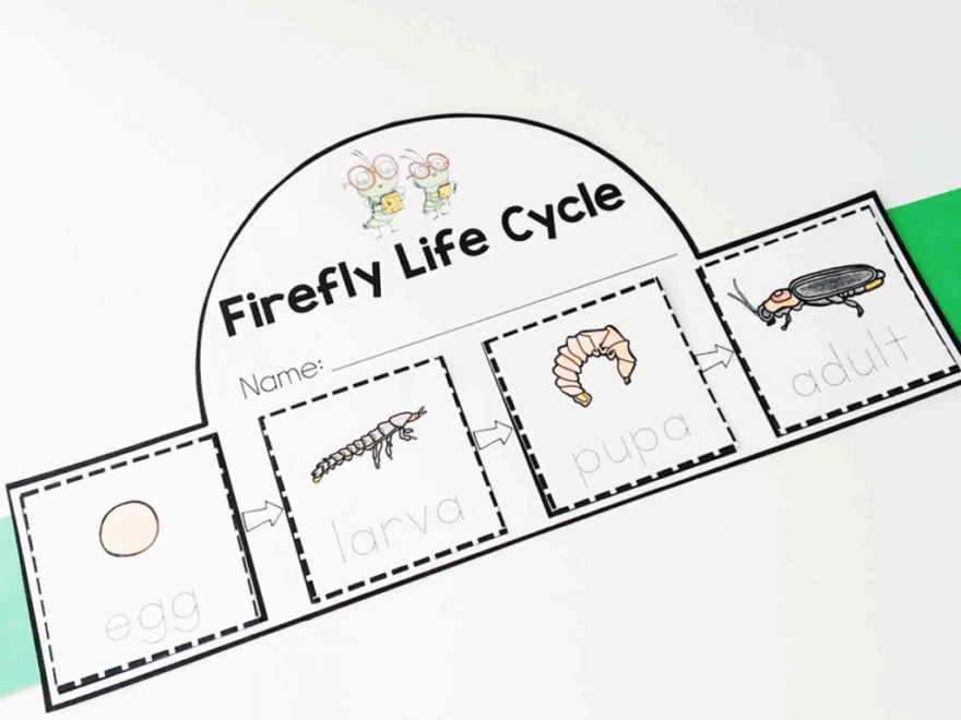 How To Survive As A Firefly FREE Book Activities Katie Roltgen Teaching