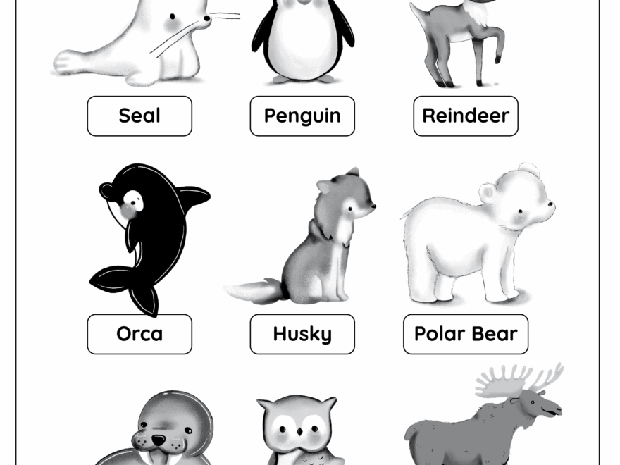 Polar Animals Free Worksheet SKOOLGO