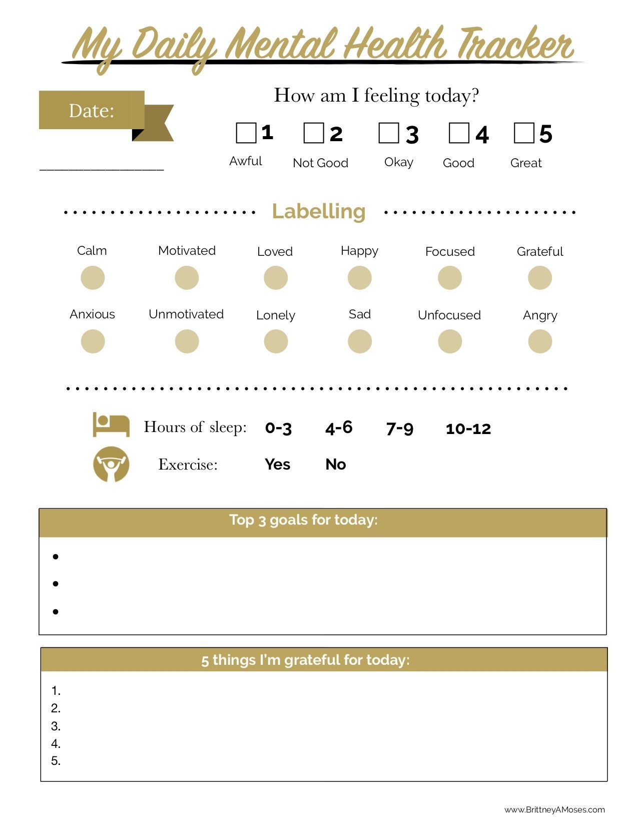 Printable Daily Mental Health Tracker