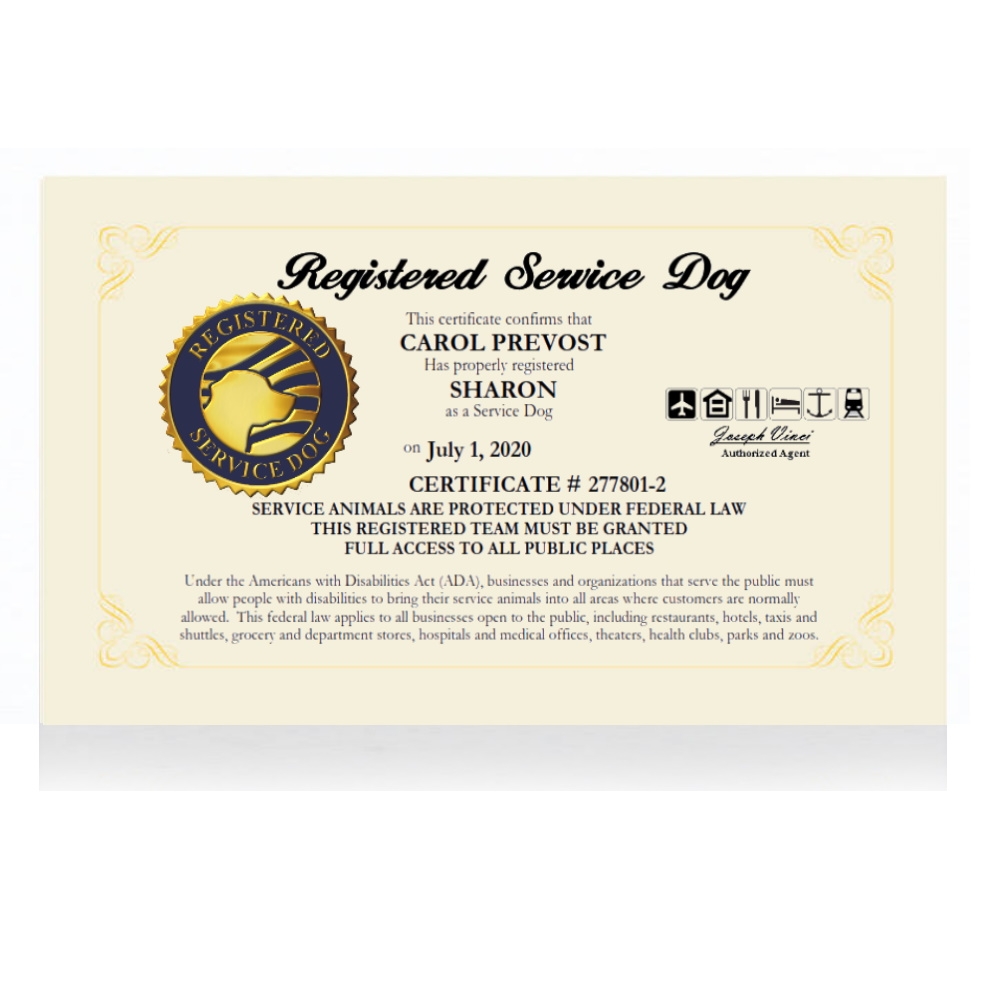 Registered Service Dog Certificate Official Service Dog Paperwork Certificate