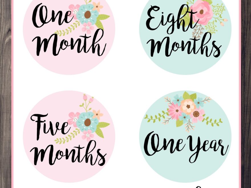 The Cozy Red Cottage Free Baby Girl Monthly Milestone Stickers