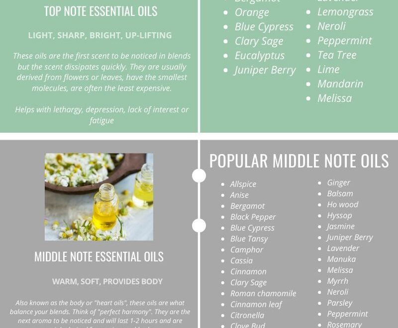 Top Middle Base Note Essential Oils With Blending Chart Lavenderandoil