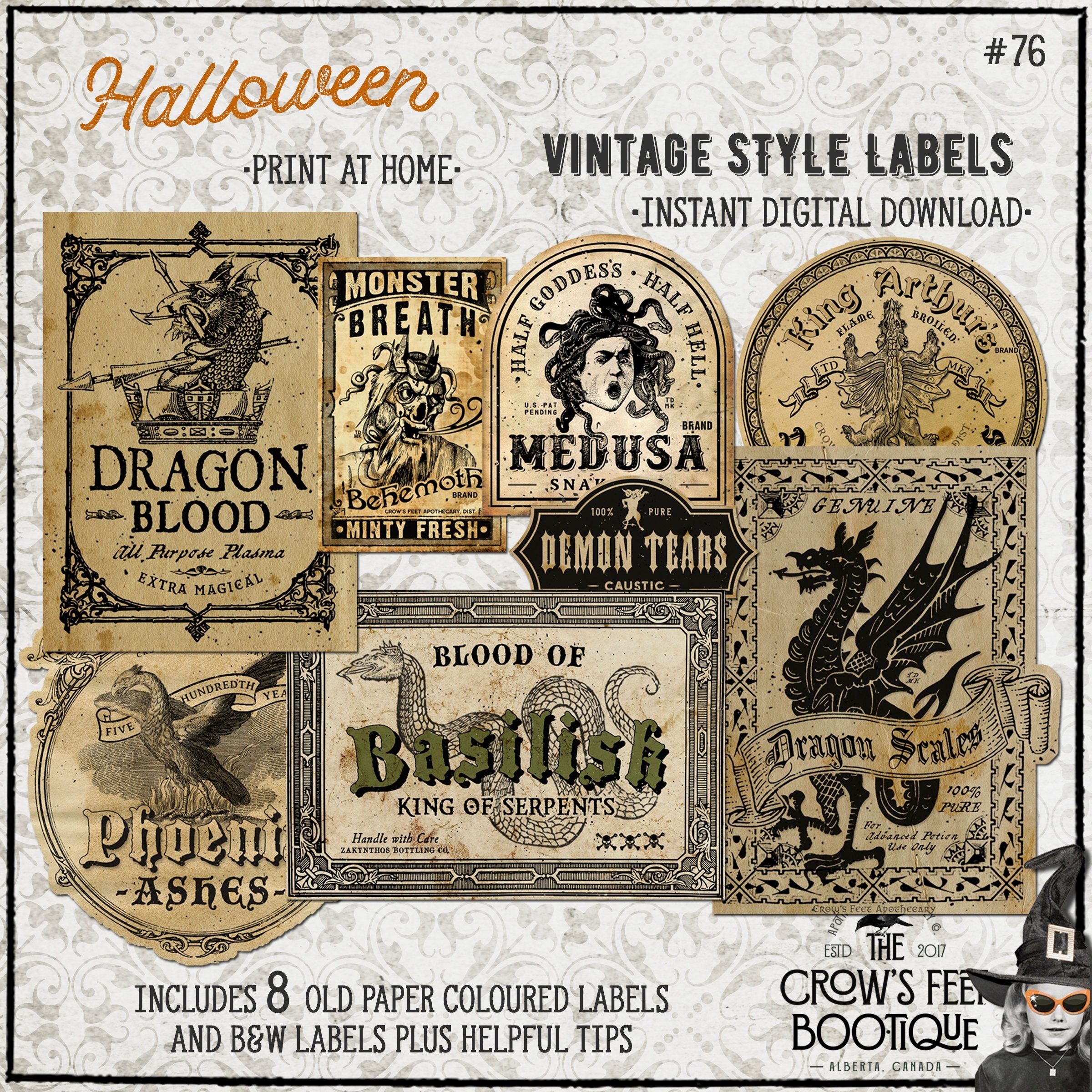 Vintage Look Potion Labels 76 Dragons Friends Printable Potion Jar Labels Etsy